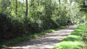 23montesophia047.jpg