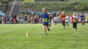 23schmidt021.jpg