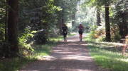 23weilerswist043.jpg