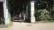 23citylauferftstadt537.jpg