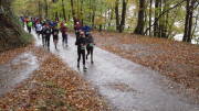 23rurseemarathon224.jpg