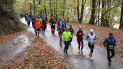 23rurseemarathon230.jpg