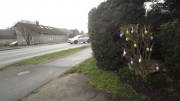 24belgenbachtrail001.jpg