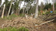 24belgenbachtrail061.jpg
