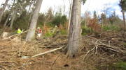 24belgenbachtrail074.jpg