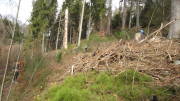 24belgenbachtrail086.jpg