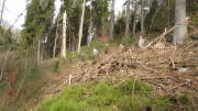 24belgenbachtrail104.jpg