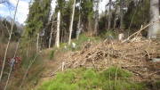 24belgenbachtrail130.jpg