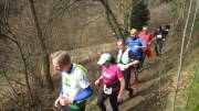 24belgenbachtrail134.jpg