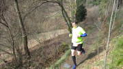 24belgenbachtrail169.jpg