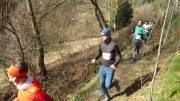 24belgenbachtrail182.jpg