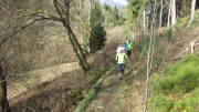 24belgenbachtrail206.jpg