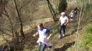 24belgenbachtrail209.jpg
