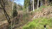 24belgenbachtrail216.jpg