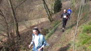 24belgenbachtrail237.jpg