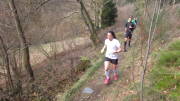 24belgenbachtrail309.jpg