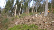 24belgenbachtrail354.jpg
