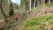 24belgenbachtrail404.jpg