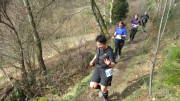 24belgenbachtrail409.jpg