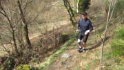 24belgenbachtrail427.jpg