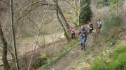 24belgenbachtrail429.jpg