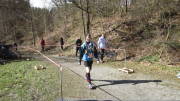 24belgenbachtrail436.jpg