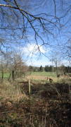 24belgenbachtrail438.jpg
