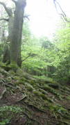 24breinig001.jpg