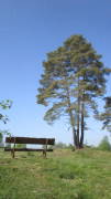 24breinig002.jpg