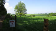 24breinig006.jpg