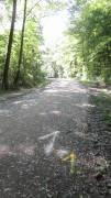24huerth041.jpg