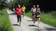 24hahn059.jpg