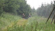 24SteckenbornEIF088.jpg