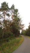 24MoMa006.jpg