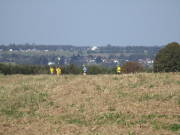 24schmidt083.jpg