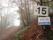 24rursee002.jpg