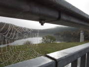 24rursee009.jpg