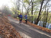 24rursee271.jpg