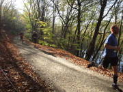 24rursee353.jpg