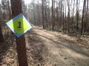 25donatuslauf025.jpg