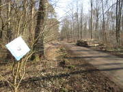 25donatuslauf110.jpg