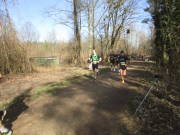 25donatuslauf350.jpg