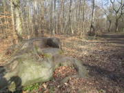 25eschweilerLSG004.jpg