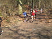25eschweilerLSG038.jpg