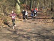 25eschweilerLSG051.jpg