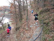 25rurseemarathon0106.jpg