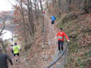 25rurseemarathon0313.jpg