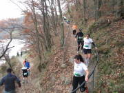 25rurseemarathon0506.jpg
