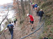 25rurseemarathon0605.jpg