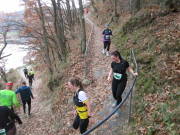 25rurseemarathon0794.jpg